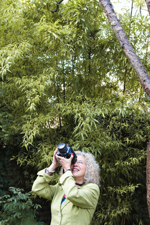 Portrait of Nancy Honey photographing