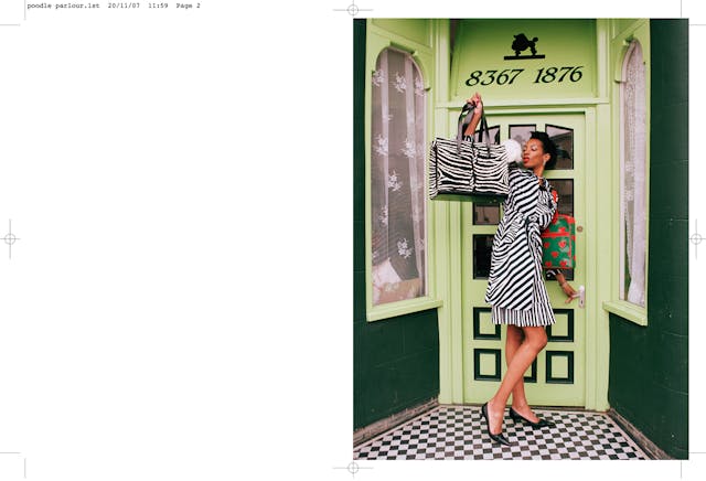 'Poodle Parlour' by Nancy Honey - Page: 2